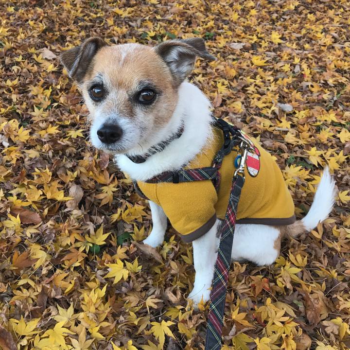 Cc97e596 4a01 49b1 8924 402b5b6594b9 1575789079026