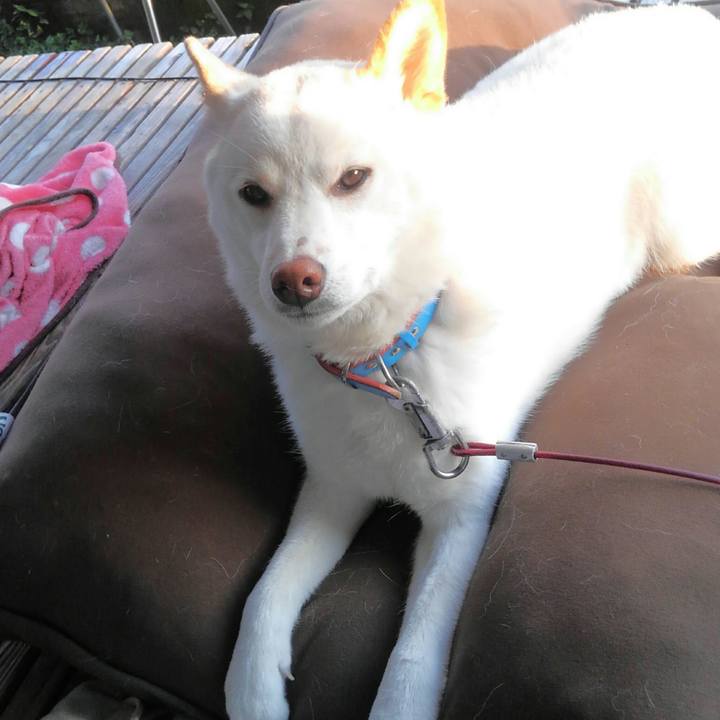 Cc97e884 9fd6 4b93 8243 fb05bb4e9175 1553741002447