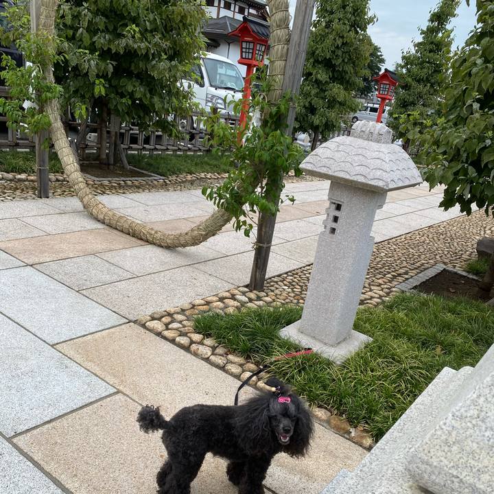 Cc97f6c0 5f46 494b 80e8 46e008c1c79b 1688361392499