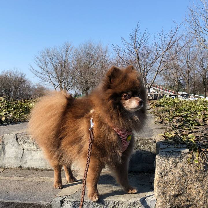 Cc982892 0a4d 4417 a307 548918e1748e 1551747399731