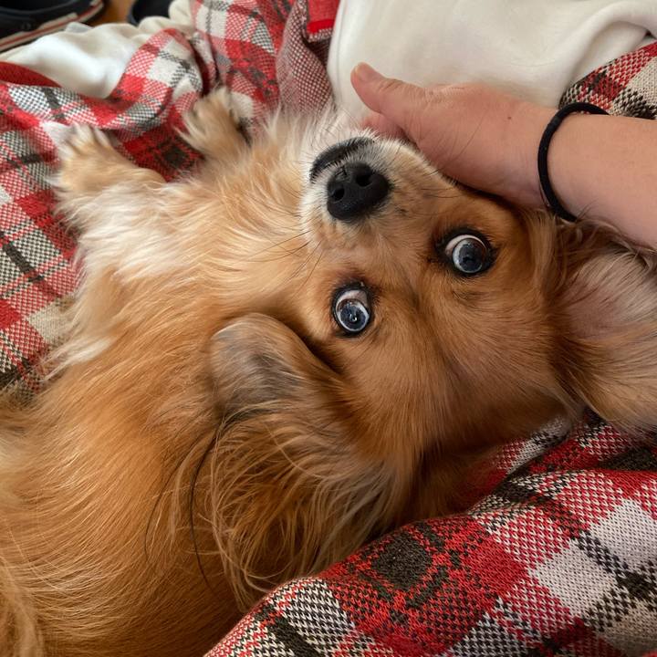 Cc9832db ee53 49ab aead 980d0d8d51d7 1574466116592