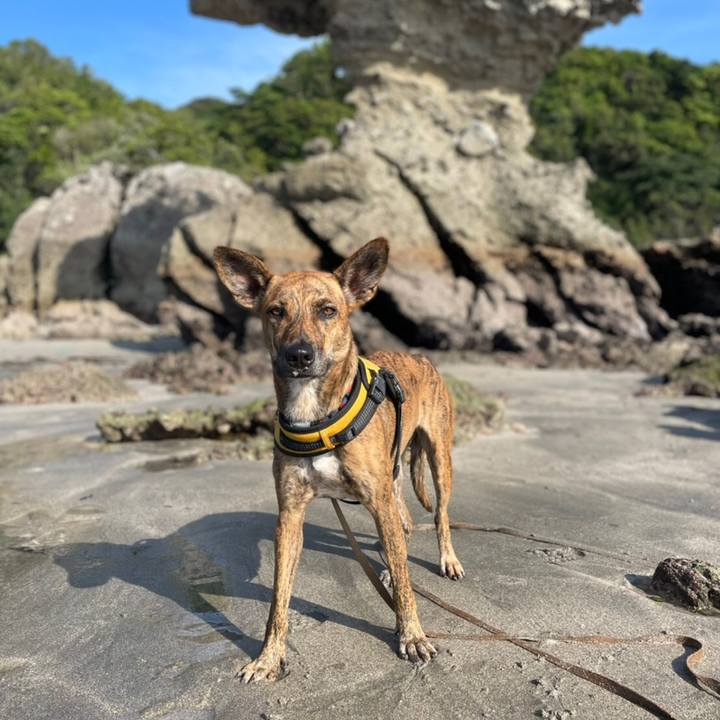 Cc988f5e 7639 4a2d 8628 1c0fdf429c6a 1622633057052