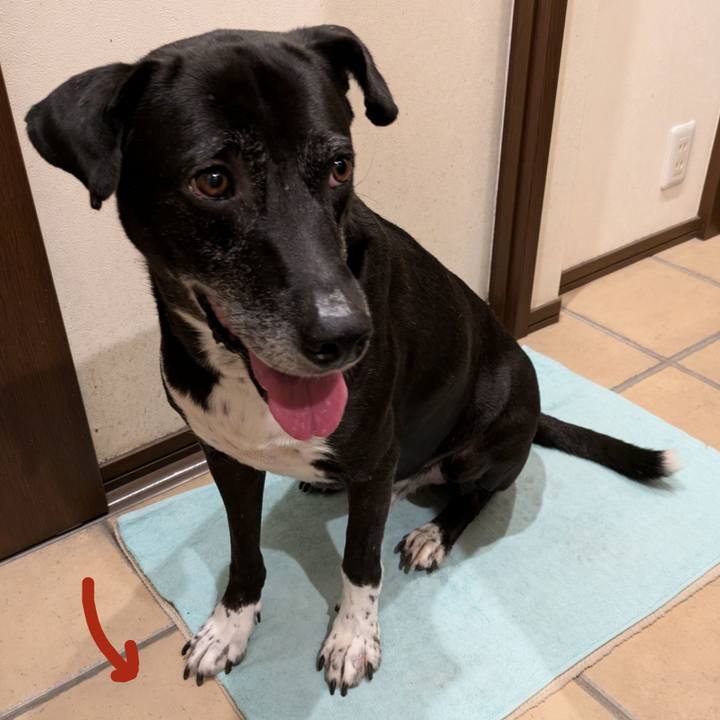 Cc98b331 8ed2 4fb3 9433 82aa513f245e 1729163477294