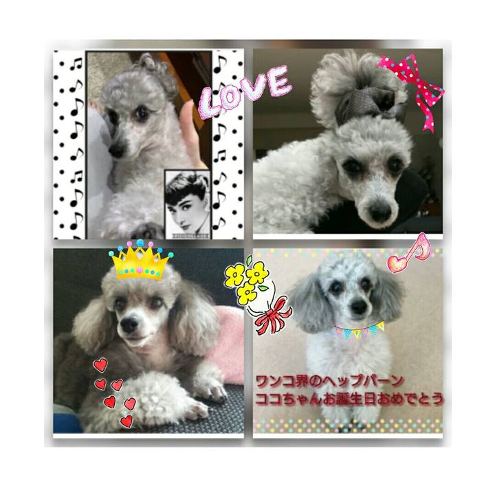 Cc98ca2e ff30 46bf 944a 0b549efae054 1510031418920