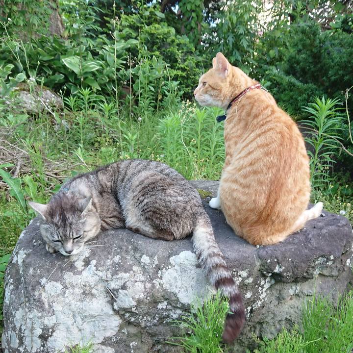 Cc98cc20 df91 46e5 b2cf ffba8bd4ca1d 1563181367167