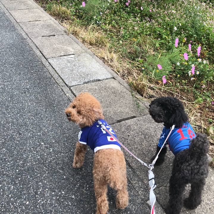 Cc993fea 0f62 4c93 abfb 9e842a36368b 1602230854728