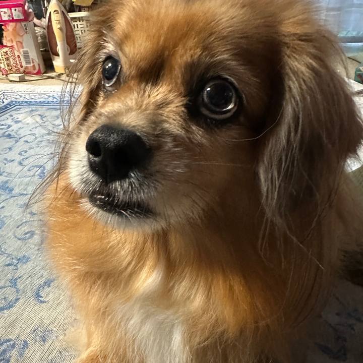 Cc995f5c f191 4dae 99f0 645d2f192c07 1760908741694