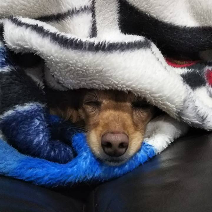 Cc997a35 aa52 4649 8873 df1ece7bc576 1585224473132