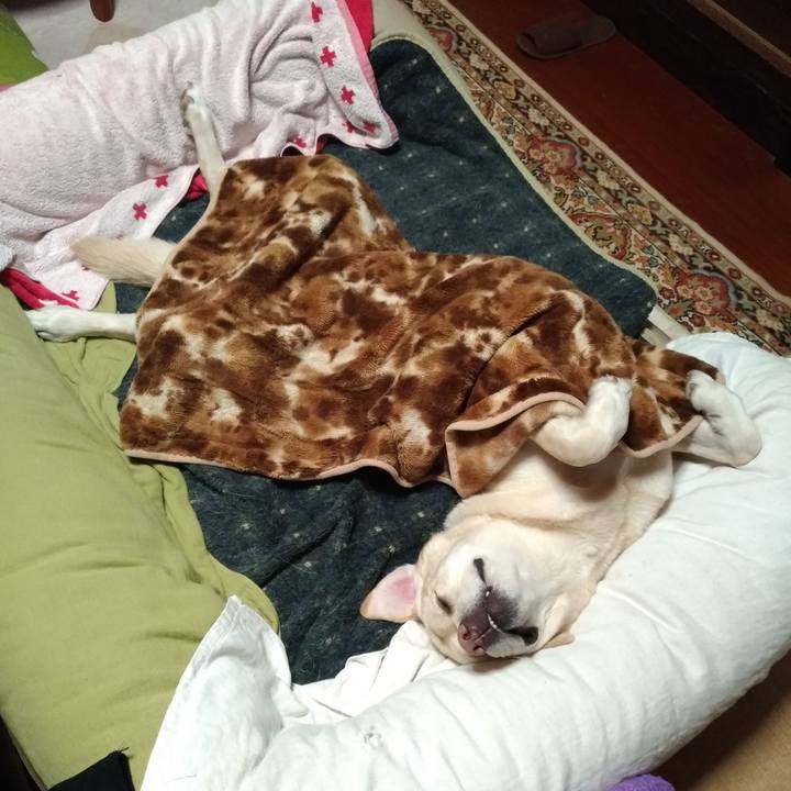 Cc9993f1 9833 4f50 9904 a0d8945a99d4 1608427303031