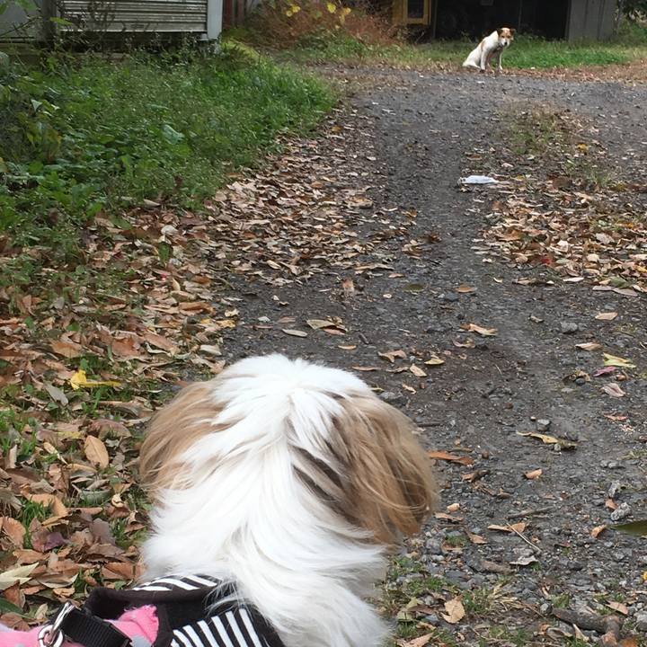 Cc99cdd8 e125 4d3e 9ada 11ea51dd3994 1510622563028