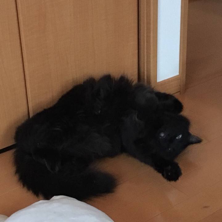 Cc99e564 e1e0 45c5 98e9 65e1bacdf272 1532655824950