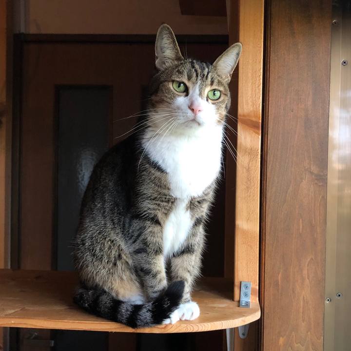 Cc9a0576 7cc6 41b2 96e4 183d21b0a303 1601504411816