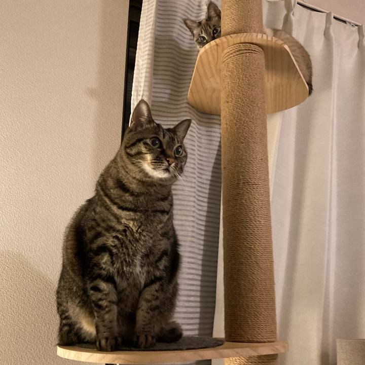 Cc9a1519 fd93 4106 8054 1e976936f66b 1610973045323