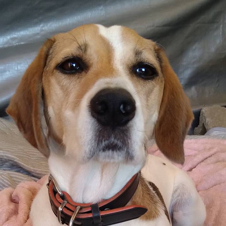 Cc9a277f 0212 4d09 984d ca23dd7b46aa 1639840476193