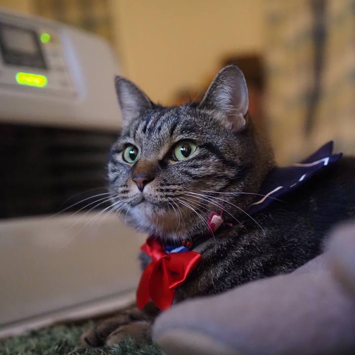 Cc9a49b7 3340 40fb b2bd 15c6b21eb884 1606484009362