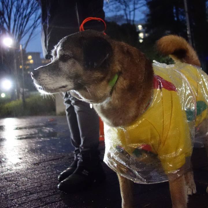 Cc9a7fc3 9b20 4613 b9bd f5926badc558 1554718486006