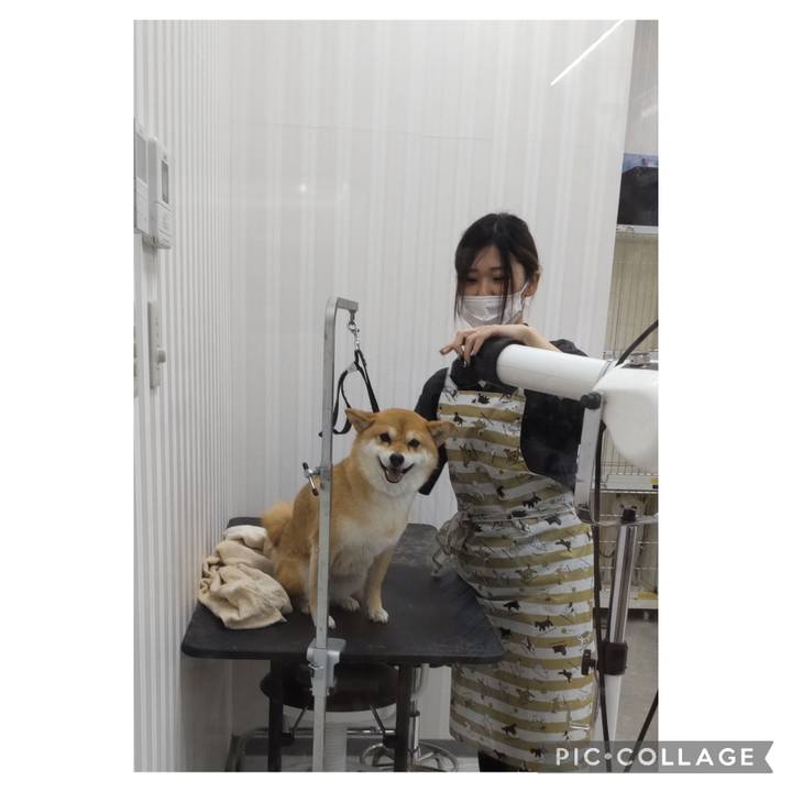 Cc9a943d 428c 40ce 81e7 bbb6849f2401 1720421332361