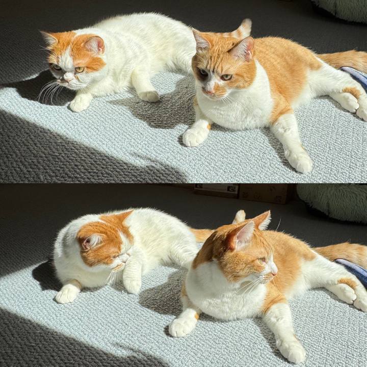 Cc9ac3a6 63ef 4053 8e5c 23019662a1a8 1772230356854