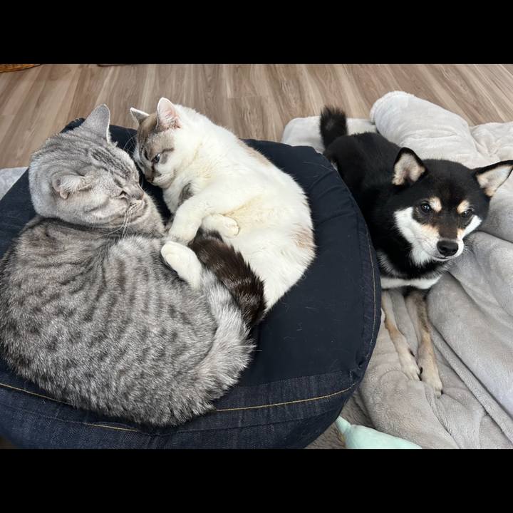 Cc9ad020 dbe4 4a12 987d 3a1514e7aa41 1707524508609