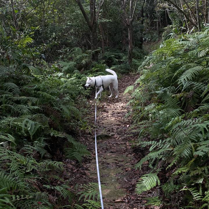 Cc9b12ac 8474 4709 8699 ba16ac0ad530 1665196812696