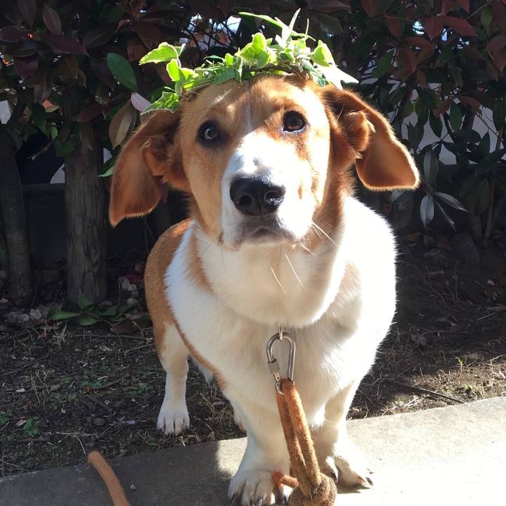 Cc9b2a11 2090 46a6 be7a 80e03ff1c037 1619228222677