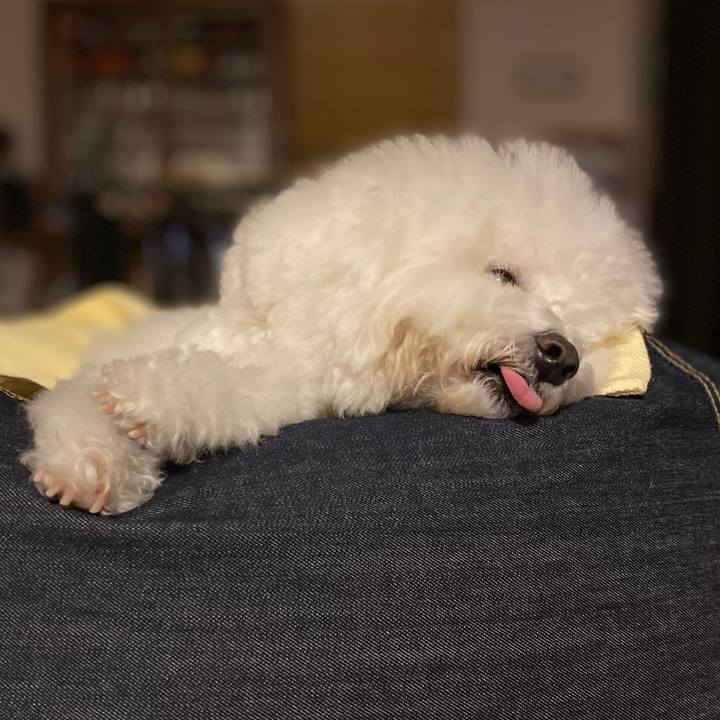 Cc9b76c1 d6f7 4018 b4c6 89042503166a 1607084857054