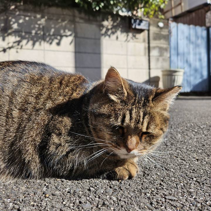 Cc9bd868 3a6d 4f69 afe3 84ce2e0ca488 1703320016512