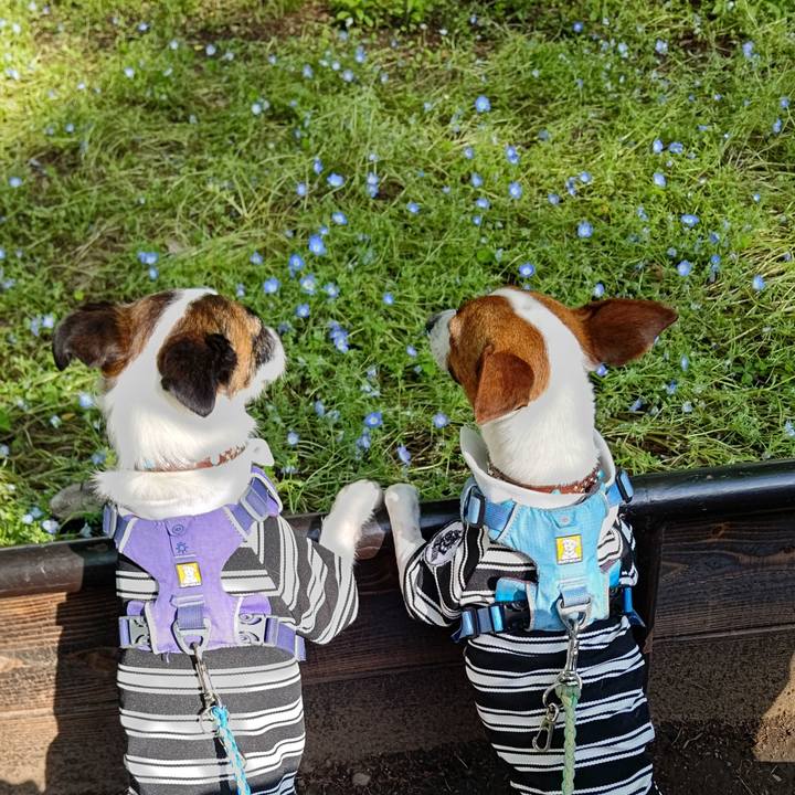 Cc9c342f 706d 4a31 940a c0e850c1bca4 1651307704846