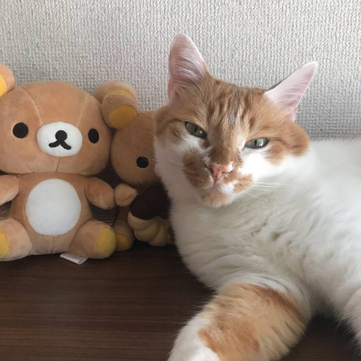 Cc9c6393 4bba 4cb9 857f fbdb295ae464 1566713530771