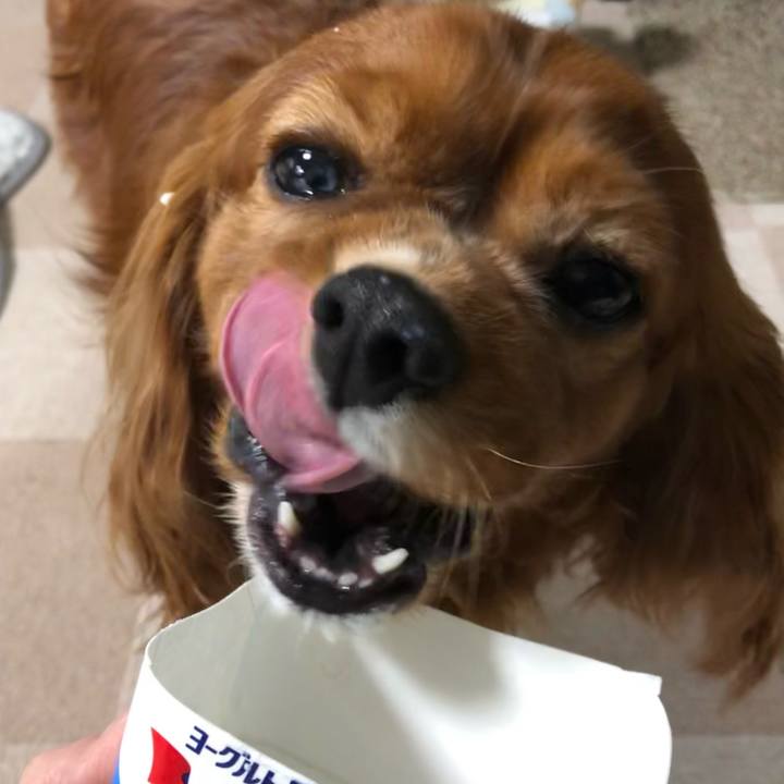 Cc9c83b6 dc71 4bdf b507 d0452929d0e8 1636668794488