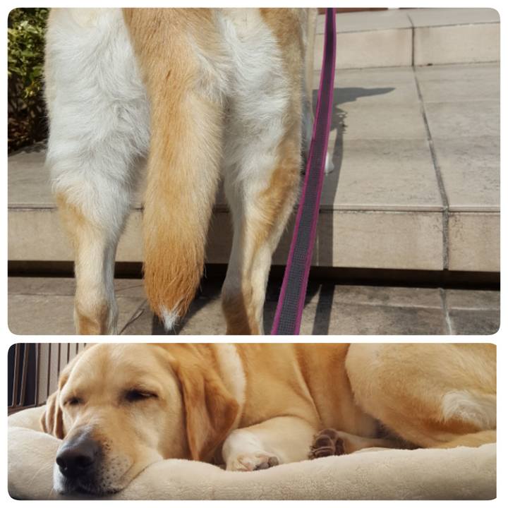 Cc9c95c2 fca0 4468 9cc1 9fe4423d7d67 1518677041653