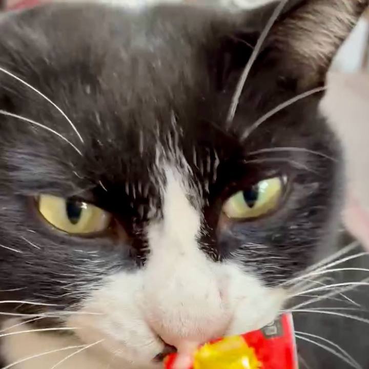 Cc9caee1 274c 4388 a630 26fe56cef564 1766025445197