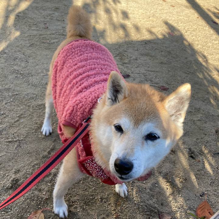 Cc9cb90c beb8 4d5e bbd6 c57964408afa 1639464529220