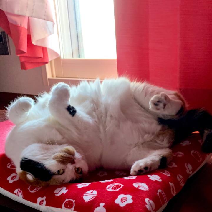 Cc9cbaf1 e9f0 4013 90d3 f86d3dbb3757 1562703885067