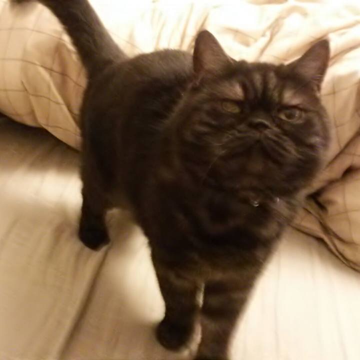 Cc9cf986 67c7 495a b090 c7e62afbec2d 1509491756966