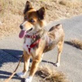 Cc9d1d1c e224 487b 9d09 36e57c914632 1563125243202