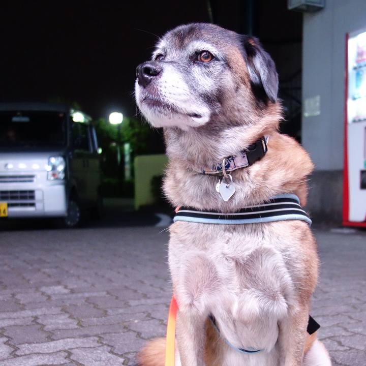 Cc9d5fec 8b4f 490b ae51 4416284eeaf8 1618451994395