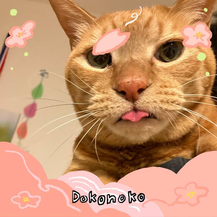 Cc9d613e 9236 4cde ac9f 5bacef5bb91f 1775210103166