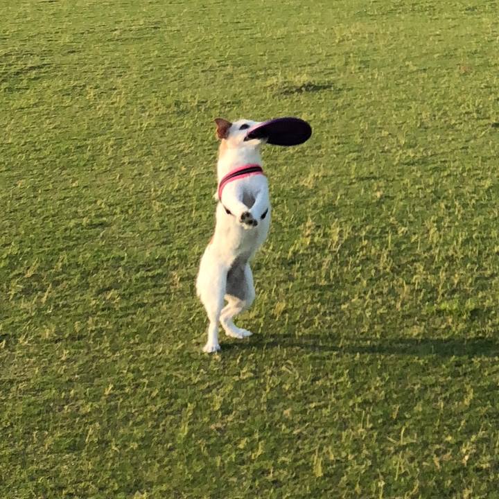 Cc9d7b9f 4727 4580 9e82 83ec864eb0ef 1529832778608