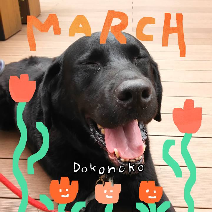 Cc9dc6a3 0e87 4a3f a5e3 85cbb9bcabbc 1741155222801