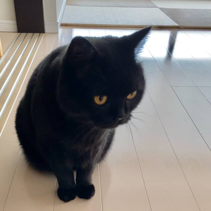 Cc9dcb69 b84c 4967 897e 09e605f3dfbe 1625275661340