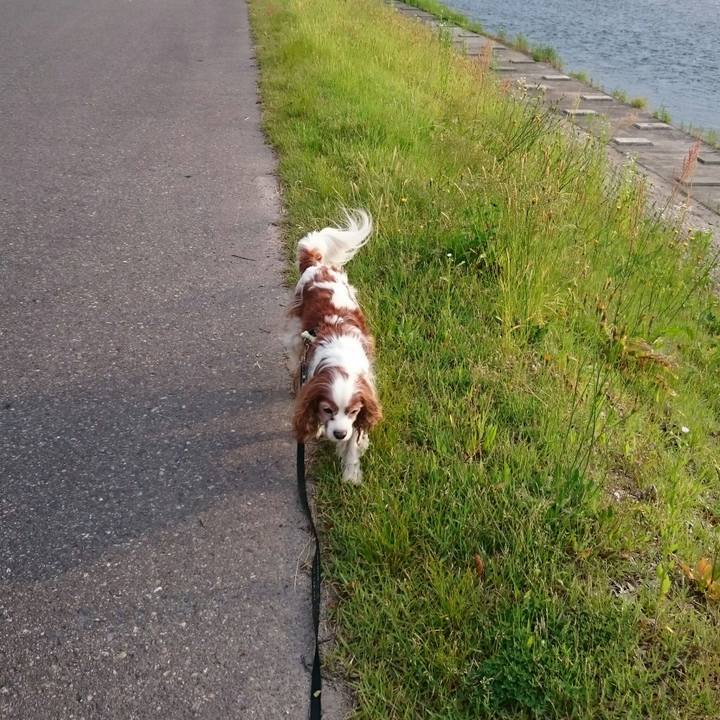 Cc9e0950 6c73 45b6 b0c0 ed0d6e125abf 1528407766141