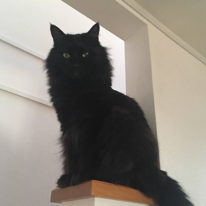 Cc9e2126 653f 417a 8ecd 5ef96be64742 1552985549955