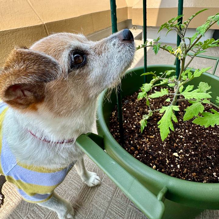 Cc9e2e58 90cb 4520 a3cc 0b6872b1cc9f 1683865806684