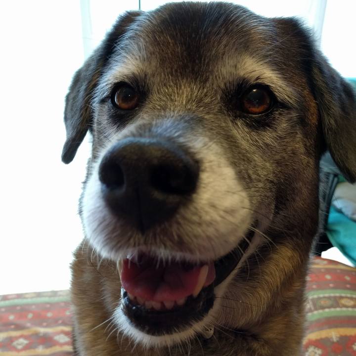 Cc9ec443 a58f 4132 976d c4bb2652d3c8 1526871533214