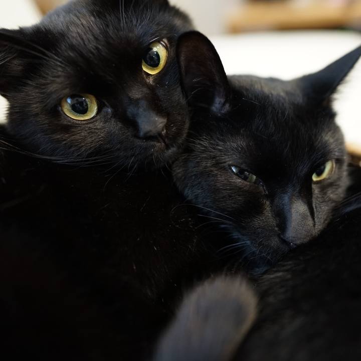 Cc9ee5c9 035e 4bc7 a9f8 07cde0aaeba9 1560606042376