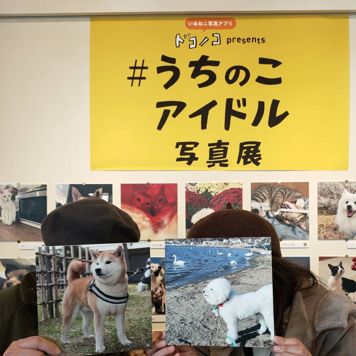 Cc9ee8b3 18be 4e30 be94 f2ba97e69b6e 1765085710440