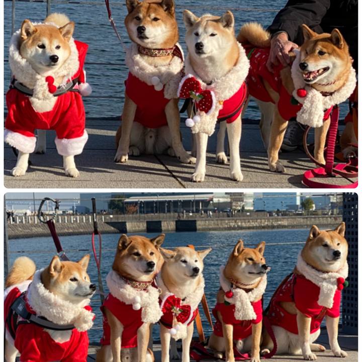 Cc9f0307 a418 4ad4 92fb bf4ba491109a 1639292142023