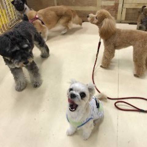 Cc9f22bc ad57 40c6 9a85 a7f0a3e7706d 1521112967346