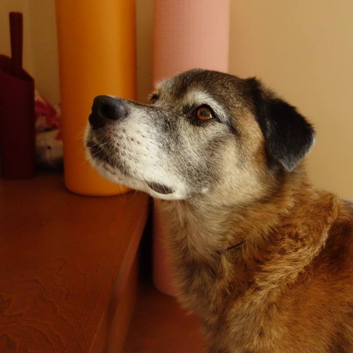 Cc9f3094 d6f7 4104 80df 5f66f4219c09 1573088539315